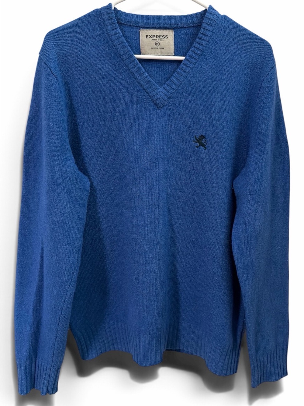 Express Men's V-Neck Sweater in Blue